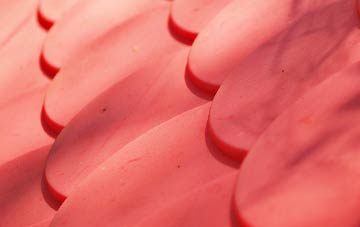 Tickmorend plastic roof costs